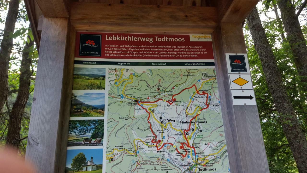 Ferienwohnung Im Schwarzwald Todtmoos Eksteriør bilde